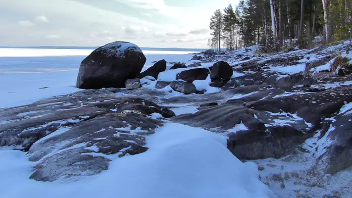 Koko valikoima alessa! 87