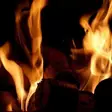 Sytytyspalat Eco Fire Nuggets 24 kpl / pkt - Polttonesteet ja kaasut - 429755 - 6